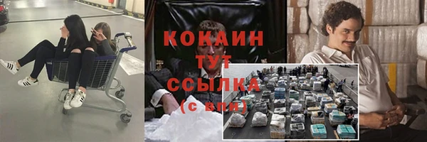 стафф Ладушкин