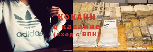 стафф Ладушкин