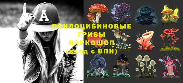 стафф Ладушкин