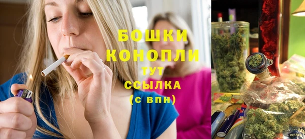 стафф Ладушкин